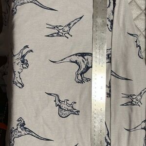 Cat & Jack Dinosaur Print long sleeve tee shirt - Gray and Blue
